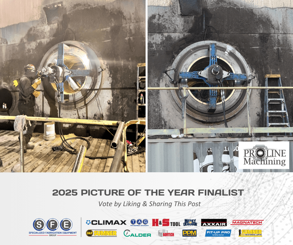 Picture of the Year Finalist #11